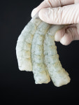 국산 제철 흰다리 새우 왕 생 생물 1kg 냉동 급랭 : 주식회사 엄마수산