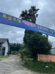 루릿몰 | 제주 프리미엄 고당도 신X호텔 애플망고 선물세트 : 루릿몰