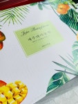 루릿몰 | 제주 프리미엄 고당도 신X호텔 애플망고 선물세트 : 루릿몰