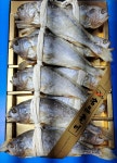 이든네이처전남영광 | 명품 전남영광 법성포 특대 보리굴비 설날선물세트 10마리 2.5kg : 진성네이처푸드