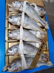 이든네이처전남영광 | 명품 전남영광 법성포 특대 보리굴비 설날선물세트 10마리 2.5kg : 진성네이처푸드