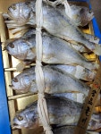 이든네이처전남영광 | 명품 전남영광 법성포 특대 보리굴비 설날선물세트 10마리 2.5kg : 진성네이처푸드