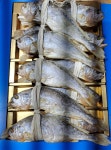 이든네이처전남영광 | 명품 전남영광 법성포 특대 보리굴비 설날선물세트 10마리 2.5kg : 진성네이처푸드