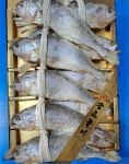 이든네이처전남영광 | 명품 전남영광 법성포 특대 보리굴비 설날선물세트 10마리 2.5kg : 진성네이처푸드