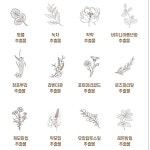 자연愛두피스켈프 | 두피보호제 두피스켈프 두피보습제 염색전 셀프스케일링 : 아이니홈