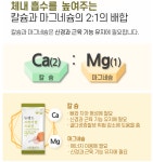 뉴랜드올레이처 평내중앙지사 | 뉴랜드올네이처,뉴랜드프리미엄단백질 : 뉴랜드올네이처 서산중앙지사