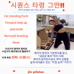 진필라테스 X 물리치료사 P.T 재석 “체어” 세미나 “녹화본” : 진필라테스