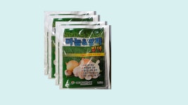 마늘밭에 진미가 | 마늘 & 양파 밭에 : 도시 텃밭