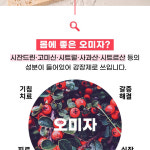 오미자 젤리 식품 상세페이지 제작 디자인 기획 전문 마케팅 기획안 디자인 스튜디오 레디오 : CHO앙플