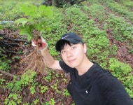 상농산양산삼농원 | 자연산삼농원 10년근 3뿌리 산양삼 장뇌삼 산양산삼 자연산 설 추석 명절 선물세트 면역력 : 선의농원