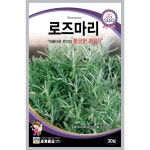 허브팜중앙역편의점 | 로즈마리씨 30립 로즈마리 씨앗 허브 씨 키우기 종자파종 : 모두의가든