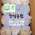 갈아먹는배 천안 성환 신고배 가공 업소 소스용 7.5kg, 1개 : 천안강남농원