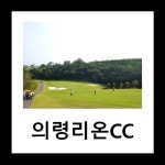 더케이골프의령리온CC점 - 4325 | 의령리온CC 1월 한정 2인골프 패키지 : 투어티골프