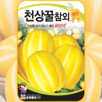 참외씨앗 꿀참외 종자 30립 / 과채류씨앗 과일종자 : 주주씨앗