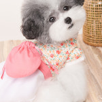 강아지 한복 위드토리 누빔 생활한복 애견 원피스 치마 설 명절 소형견 중형견 옷 : PICKYSHOP 피키샵