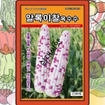 얼룩찰옥수수씨앗 종자 2500립 강원도 단옥수수 괴산옥수수씨앗 : 삼대씨앗