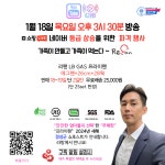 LB GAS 프라이팬 26cm+28웍+에그팬 일본수출 친환경 : 와이즈디어