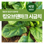 덴마크 시금치 씨앗 1300립 채소 씨앗 베란다 텃밭 시금치키우기 마이플랜트 : 마이플랜트