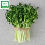 은혜농장신대상회 | 무순 50g GAP 농산물우수관리인증 : 가락은혜상회