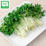 은혜농장신대상회 | 무순 150g GAP 농산물우수관리인증 : 가락은혜상회