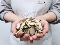 부귀인삼제조장 | 당귀 효능 참당귀 뿌리 국산 말린 건 약초 300g : 대광34 인삼홍삼