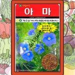아마씨앗 아마종자 300립 약초 여성부인병 예방 : 삼대씨앗