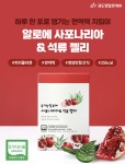 피에스(PS)후니몰 | 맛있고 건강한 알로에 석류 콜라겐 젤리스틱 30포 영양제 : PS후니몰
