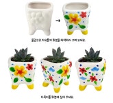 식목일만들기 다육 식물 다육이 키우기 화분 봄 만들기 : 김씨네아트
