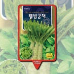 하우투비웰빙 | 웰빙 궁채 씨앗 종자 1000립 야채 채소 : 하우투팜