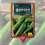 하우투비웰빙 | 웰빙 미니 오이 씨앗 종자 30립 야채 채소 : 하우투팜