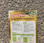 옹골찬건강원 | 맷돌호박종자/늙은호박종자/옹골진맷돌 500립 : 두레농약종묘센터