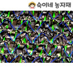 흑녹 4면 봉제 차광막 차광망 햇빛 가리개 3m x 4m, 흑색+녹색 : 숙이네농자재