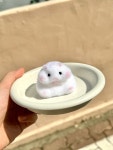 타바스퀴시 젤리 모찌장난감 스퀴시 햄스터말랑이 : 오쇼 :: osyo