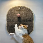 고양이 벽 스크래쳐 벽부착 장난감 스크래쳐매트 : 캣앤젤