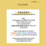 TCI 기질 및 성격검사 (성인 1인) : 다시봄 심리상담센터