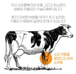 리치겟몰 | 리치겟몰-우슬두충환 300g 이중밀폐통 : 리치겟몰
