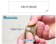리치겟몰 | 리치겟몰-우슬두충환 300g 이중밀폐통 : 리치겟몰