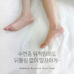 지엔커머스(GNcommerce) | 지엔베르그 듀라론 냉감 패드 국내생산 슈퍼싱글 퀸 킹 : 지엔커머스