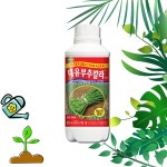 주식회사 대유흥업 | 차차미 부추깔라 500ml 대유 파 부추 영양제 뿌리발근 비료 잎을 푸르고 신선하게 시들음병 : 주식회사 차차미