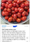 쭈니농장 대추방울토마토3kg(1~2번과)) : 쭈니농장대추방울토마토