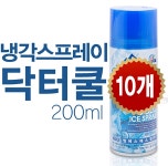 냉각스프레이 닥터쿨 파스 10개(1박스) : 유한통상