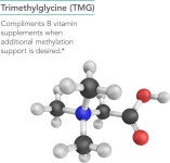 뉴트리콜로지 TMG 트라이메틸글리신 100베지캡슐 : 제로 백