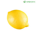 야채이야기 새콤한 레몬 2개 : 야채이야기