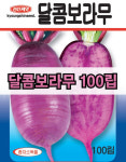 달콤보라무 100립 자색무 김장용 가을무 씨앗 가정용 텃밭 경신종묘 당일발송 : 경신종묘