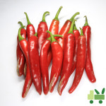 문창고추상회 | 홍고추 10Kg (상) : 사라상회