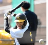 하쿠소 배럴 배트(트레이닝 나무배트) : 하쿠소 코리아