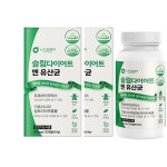 슬림다이어트 엔 유산균 다이어트유산균 프로바이오틱스 120캡슐, 2개 : 장수마을