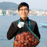 통영 제철 비단 홍가리비 1kg 국내산 세척 조개구이 : 땡큐파머스