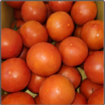 지홈(GHOME) | 지홈 토마토 간식 건강식 1인 과일 1kg 2kg : ghome