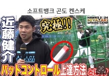 하쿠소 스핀배트 : 하쿠소 코리아